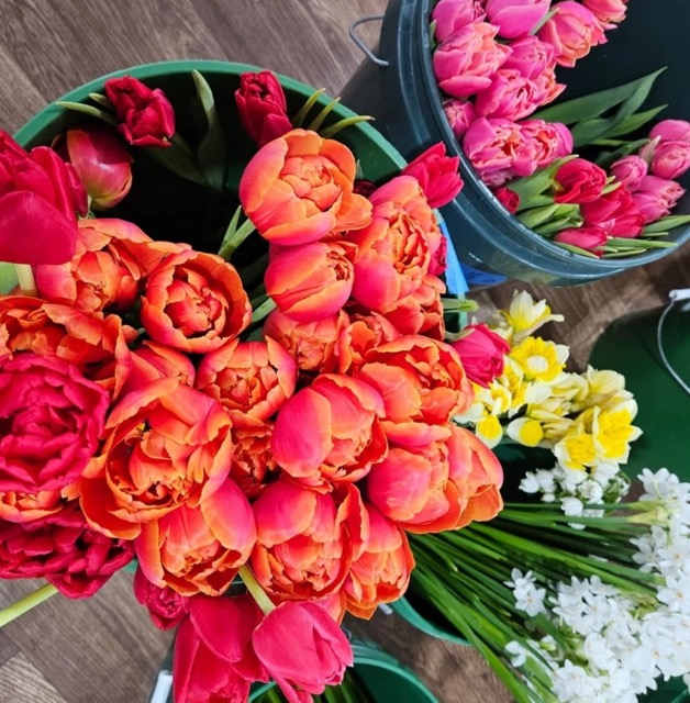 ChesapeakFlower1 Medium